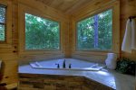 Stargazer - Jetted Tub in Attached Master Bathroom 